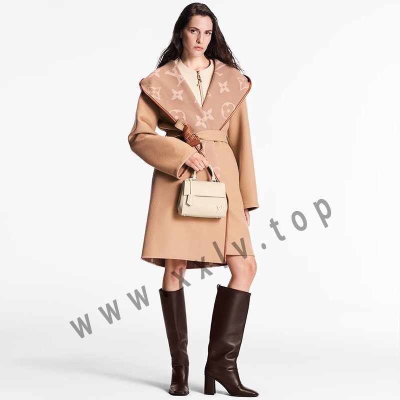 louis vuitton cluny mini m58928 pm1 worn view