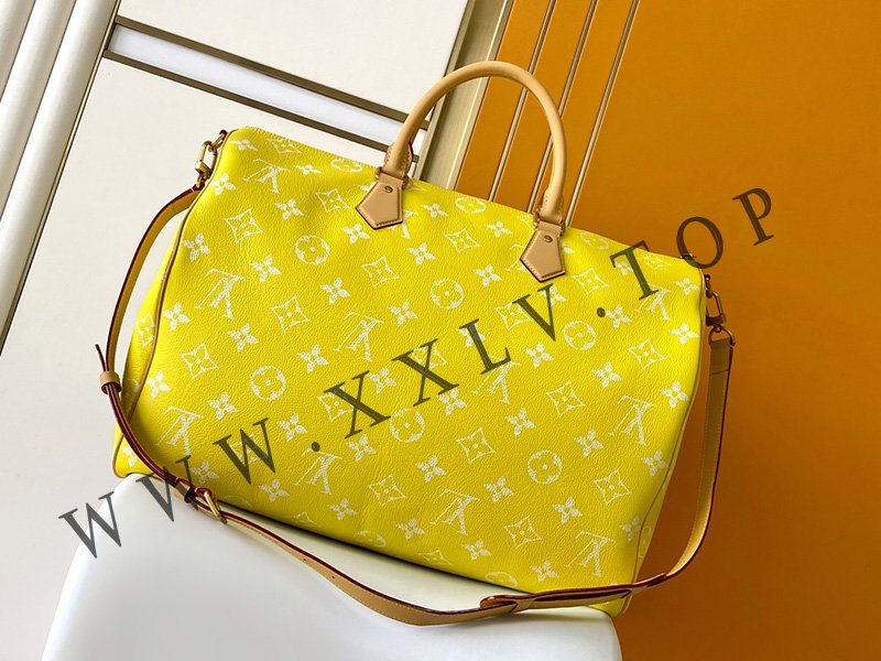 wsxc1754731405231 1