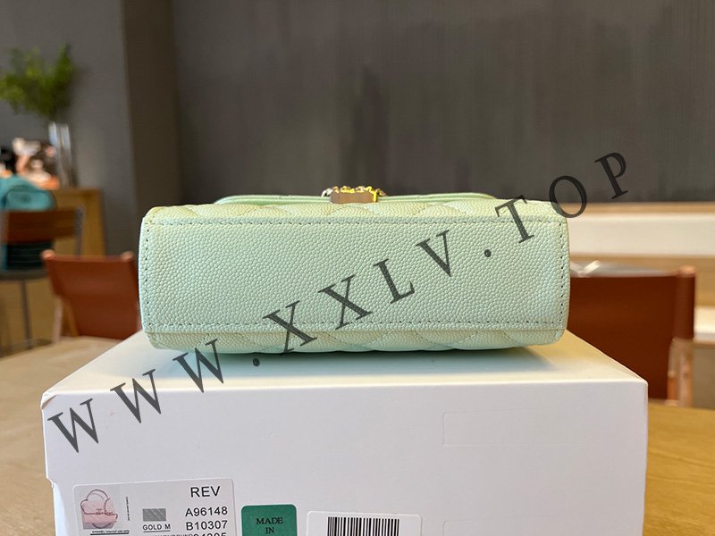 wsxc1754978091409 4