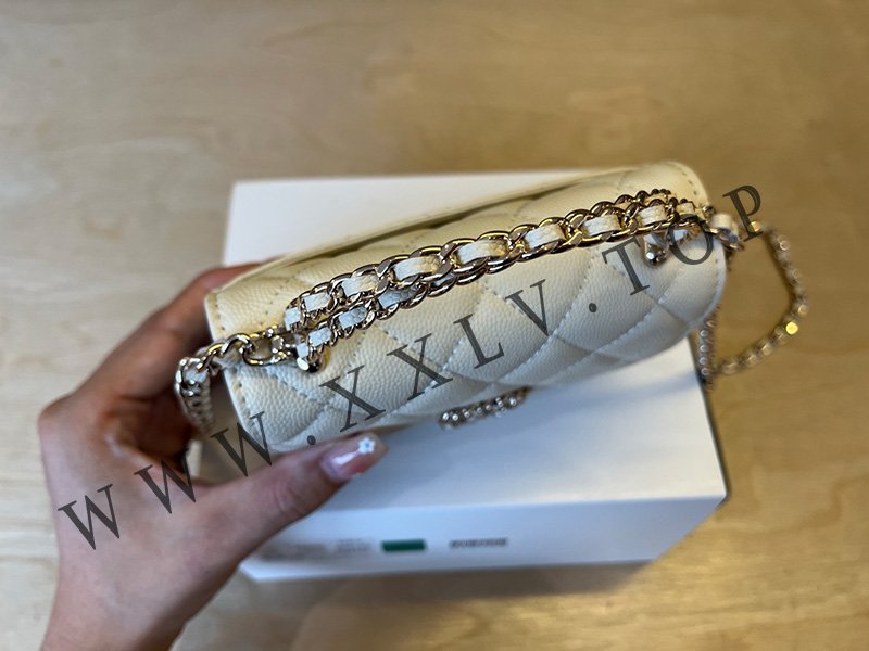 wsxc1754978096799 5