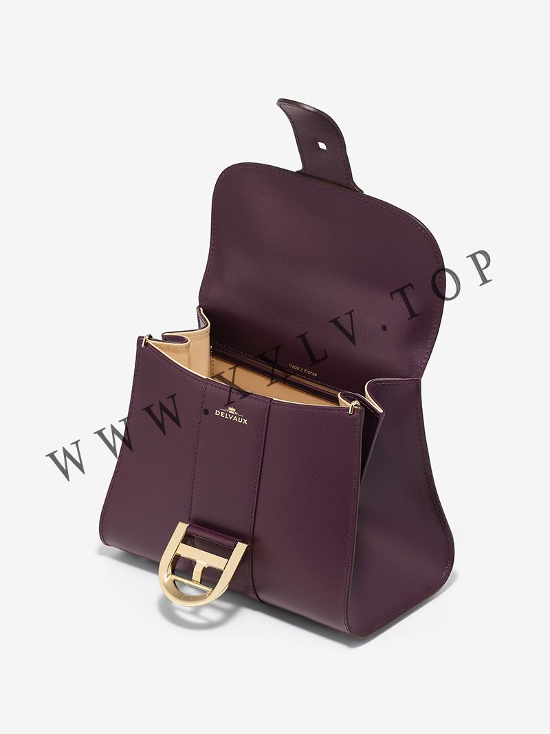 imgi 177 brillant mini s box calf plum 5