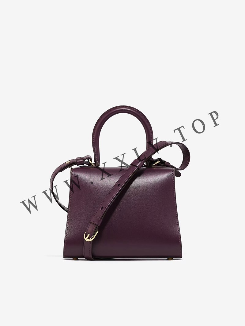 imgi 185 brillant mini s box calf plum 3