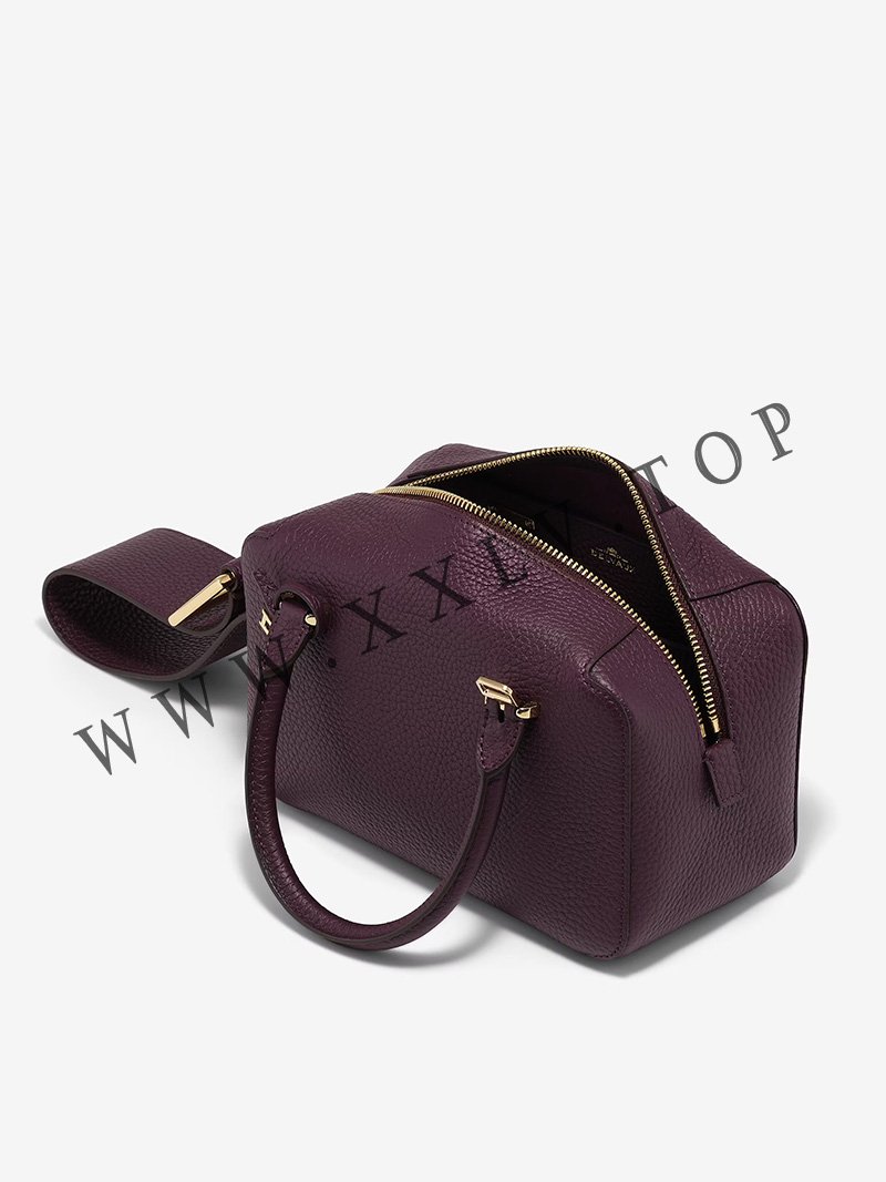imgi 193 cool box mini taurillon soft plum 7