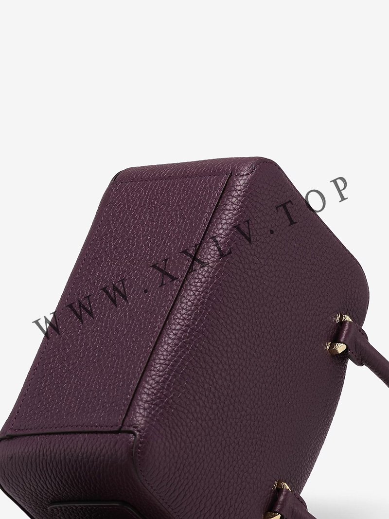 imgi 211 cool box mini taurillon soft plum 8