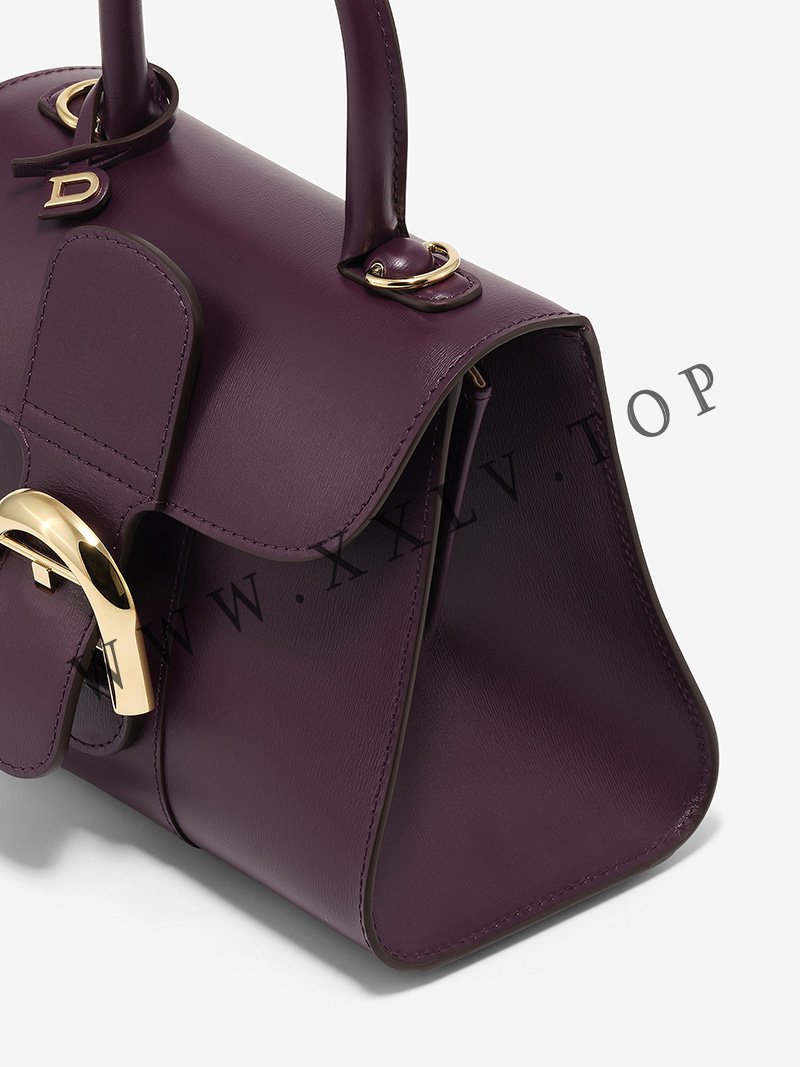imgi 7 brillant mini s box calf plum 6