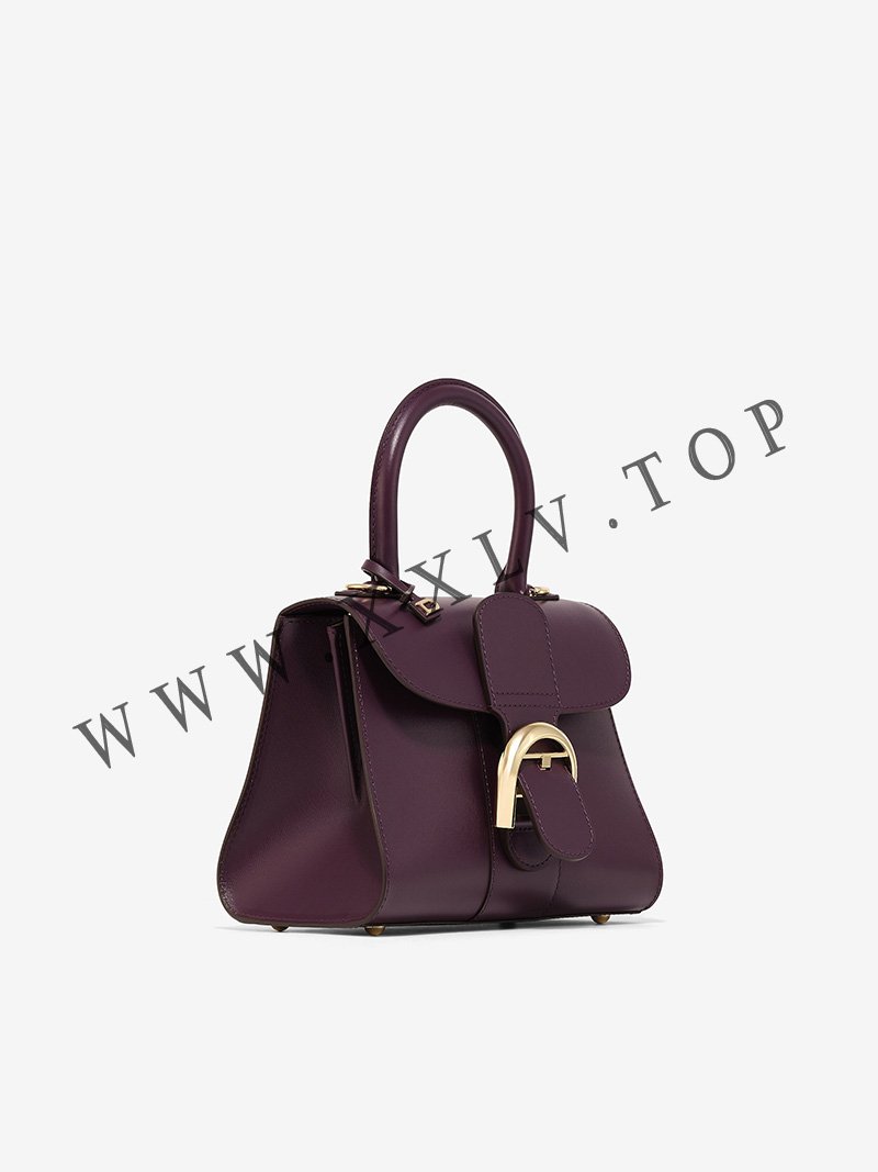 imgi 8 brillant mini s box calf plum 2