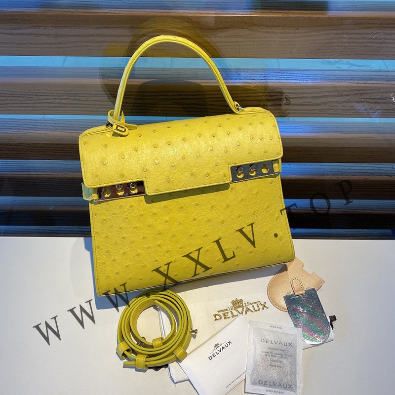 wsxc1757127889885 0