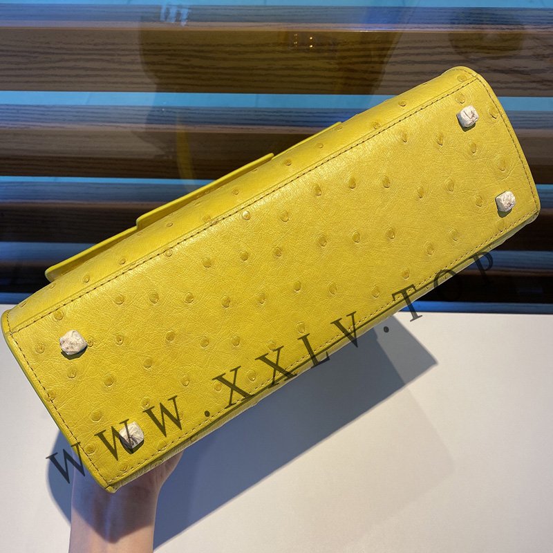 wsxc1757127889885 8