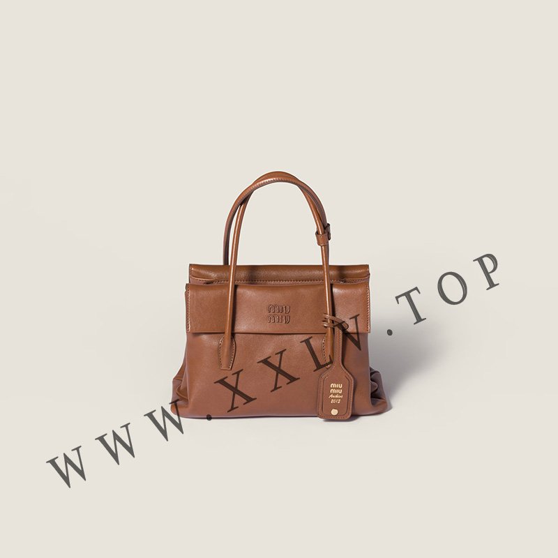 miumiu solitaire handle