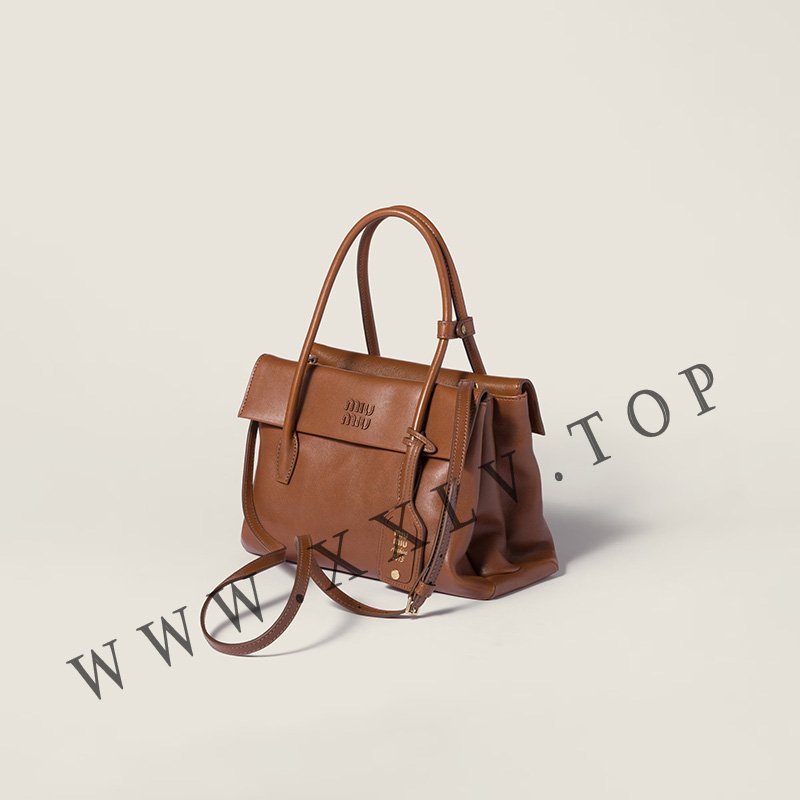 miumiu solitaire handle
