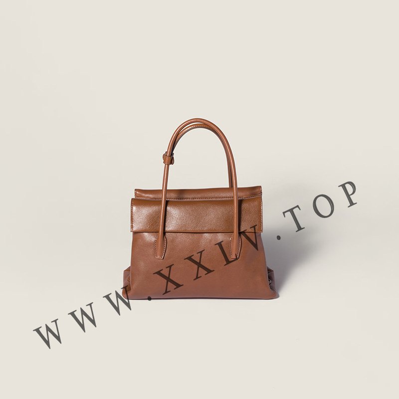 miumiu solitaire handle