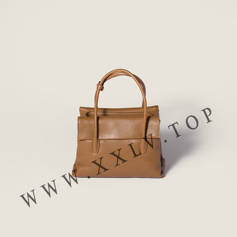 miumiu solitaire handle
