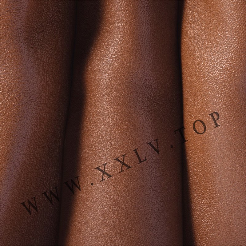 miumiu solitaire handle