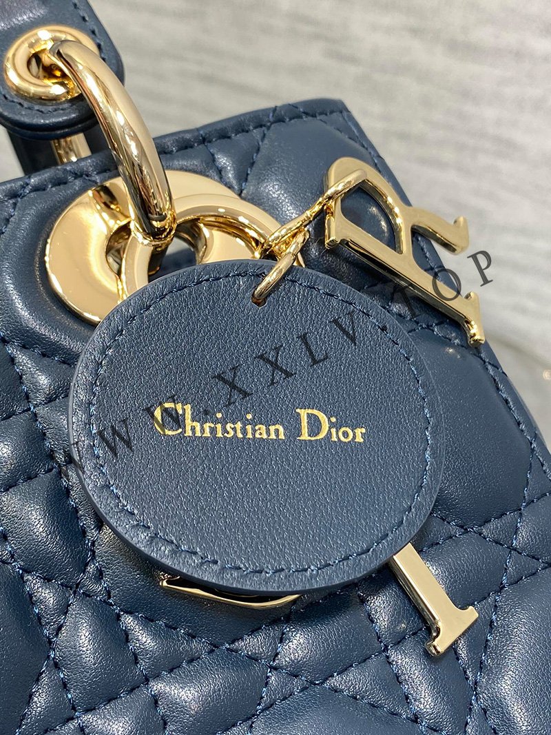 small lady dior my abcdior bag