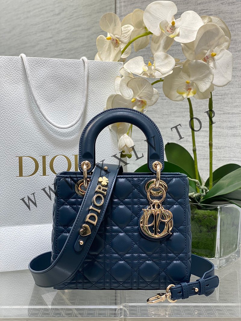 small lady dior my abcdior bag