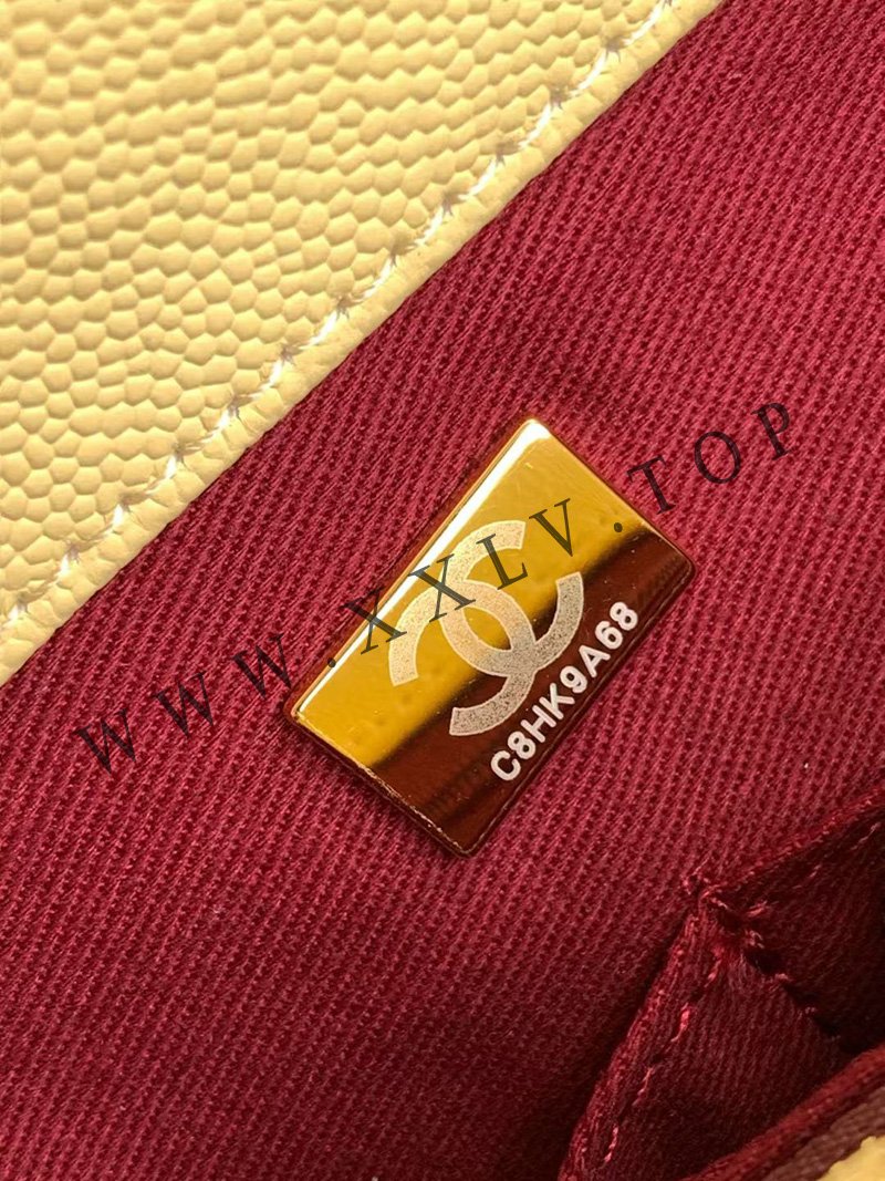 wsxc1760408421220 8