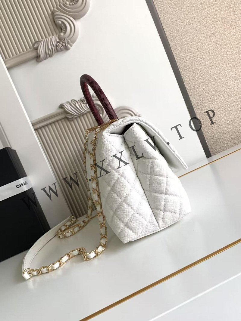 wsxc1760410945942 2